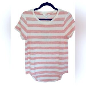 Market & Spruce Pink & White Striped Rounded Hem Knit Top Size XS Petite NWT
